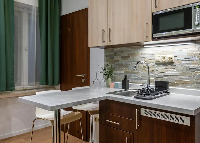 公寓 布达佩斯假日公寓 布达佩斯